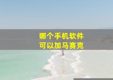 哪个手机软件可以加马赛克