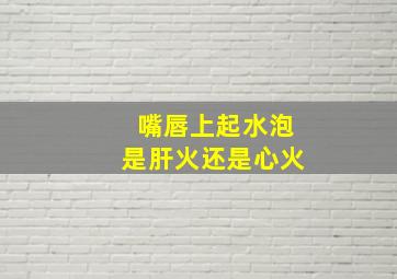 嘴唇上起水泡是肝火还是心火