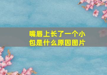 嘴唇上长了一个小包是什么原因图片