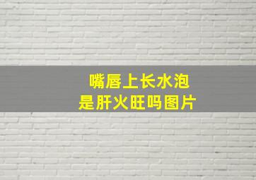 嘴唇上长水泡是肝火旺吗图片