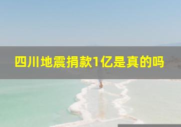 四川地震捐款1亿是真的吗