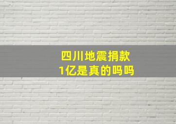 四川地震捐款1亿是真的吗吗