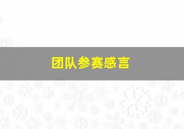 团队参赛感言