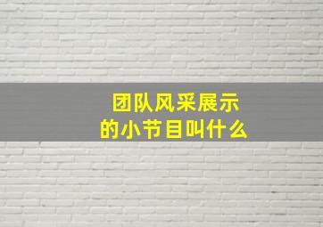 团队风采展示的小节目叫什么