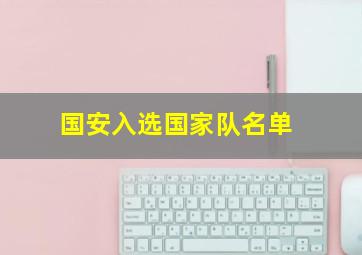 国安入选国家队名单