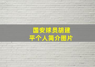 国安球员胡建平个人简介图片