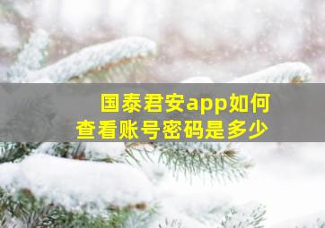 国泰君安app如何查看账号密码是多少