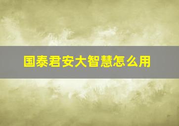 国泰君安大智慧怎么用