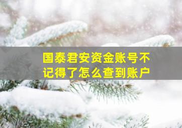 国泰君安资金账号不记得了怎么查到账户