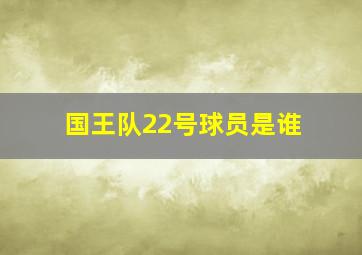 国王队22号球员是谁