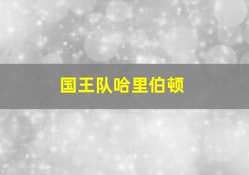 国王队哈里伯顿