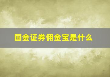 国金证券佣金宝是什么