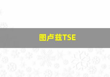 图卢兹TSE