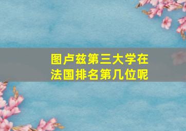 图卢兹第三大学在法国排名第几位呢