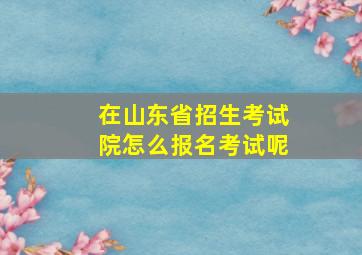 在山东省招生考试院怎么报名考试呢