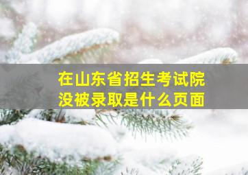 在山东省招生考试院没被录取是什么页面