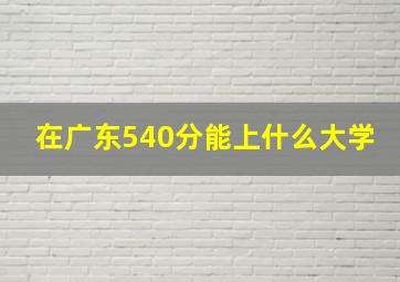 在广东540分能上什么大学