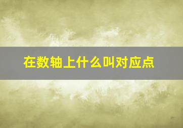 在数轴上什么叫对应点