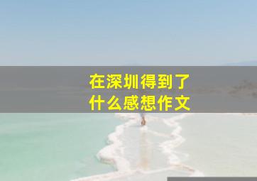 在深圳得到了什么感想作文