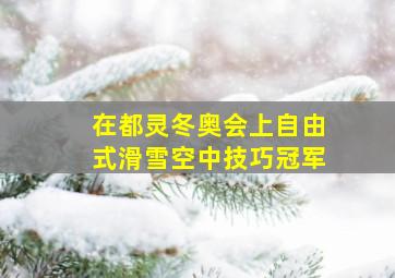 在都灵冬奥会上自由式滑雪空中技巧冠军