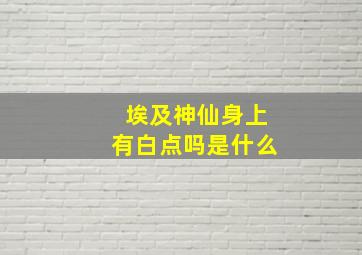 埃及神仙身上有白点吗是什么