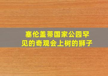 塞伦盖蒂国家公园罕见的奇观会上树的狮子