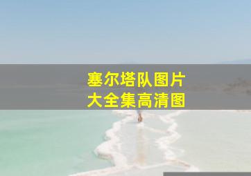 塞尔塔队图片大全集高清图