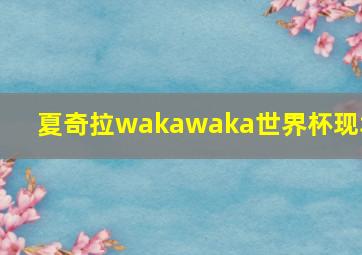 夏奇拉wakawaka世界杯现场