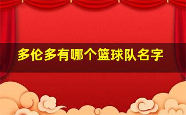 多伦多有哪个篮球队名字