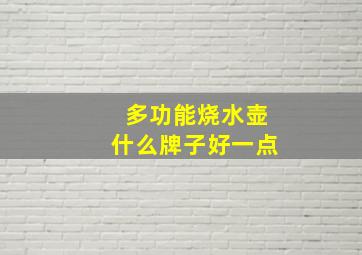 多功能烧水壶什么牌子好一点