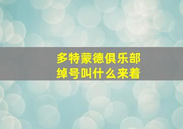 多特蒙德俱乐部绰号叫什么来着