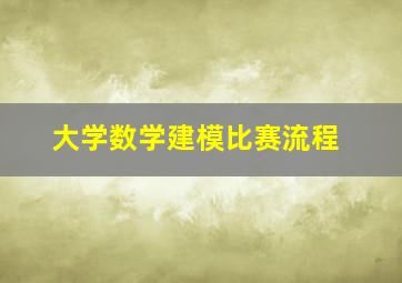 大学数学建模比赛流程