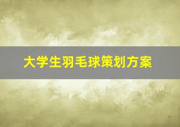 大学生羽毛球策划方案