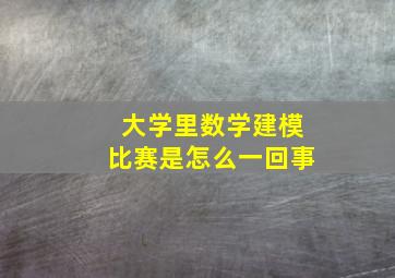 大学里数学建模比赛是怎么一回事