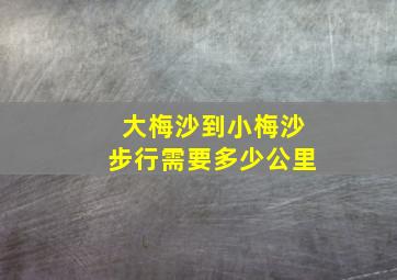 大梅沙到小梅沙步行需要多少公里