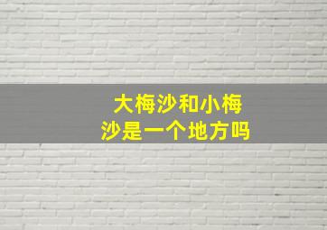 大梅沙和小梅沙是一个地方吗