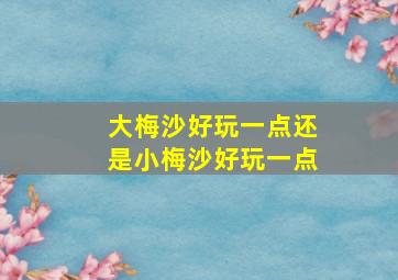 大梅沙好玩一点还是小梅沙好玩一点