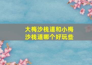 大梅沙栈道和小梅沙栈道哪个好玩些