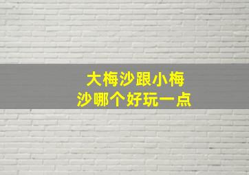 大梅沙跟小梅沙哪个好玩一点