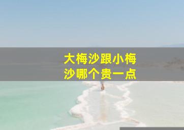 大梅沙跟小梅沙哪个贵一点