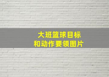 大班篮球目标和动作要领图片