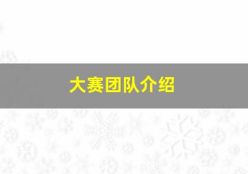 大赛团队介绍