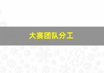 大赛团队分工