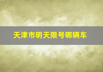 天津市明天限号哪辆车