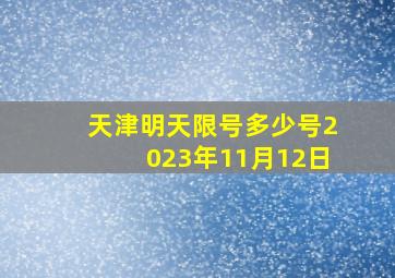 天津明天限号多少号2023年11月12日