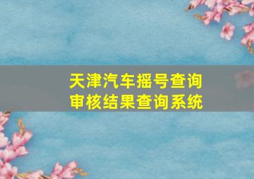 天津汽车摇号查询审核结果查询系统