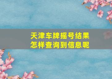 天津车牌摇号结果怎样查询到信息呢