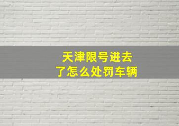 天津限号进去了怎么处罚车辆