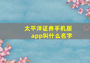 太平洋证券手机版app叫什么名字