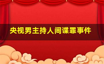 央视男主持人间谍罪事件